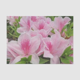 pink Flowers,japanese,asian,chinese,fashion,greeti Tissue Paper