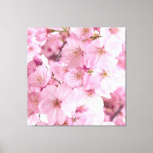 Pink Flowers Japanese Cherry Blossoms Floral Canvas Print
