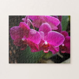 Pink Flowers Jigsaw Puzzle