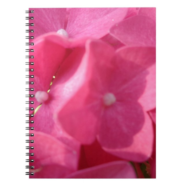 pink flowers notebook (Front)