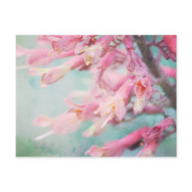 Pink flowers on Aqua background