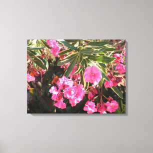 Pink flowers on the tree canvas print