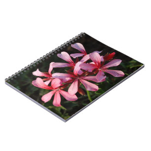 Pink Flowers Photo  Notebook (80 Pages B&W)