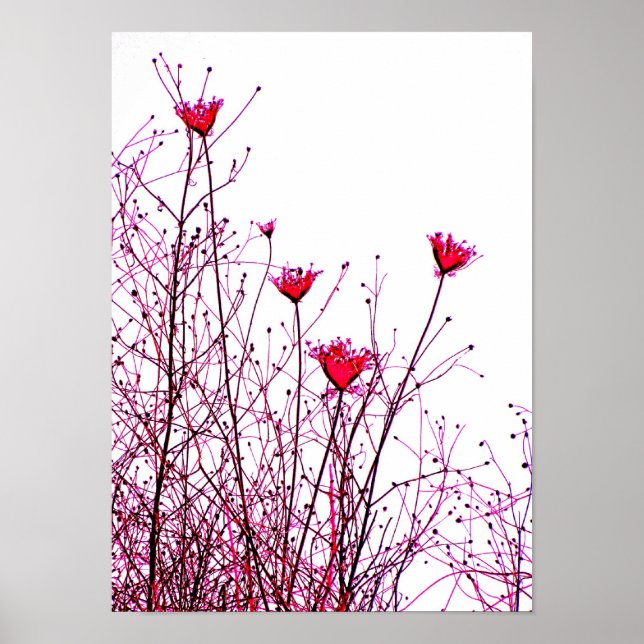 pink flowers poster (Front)