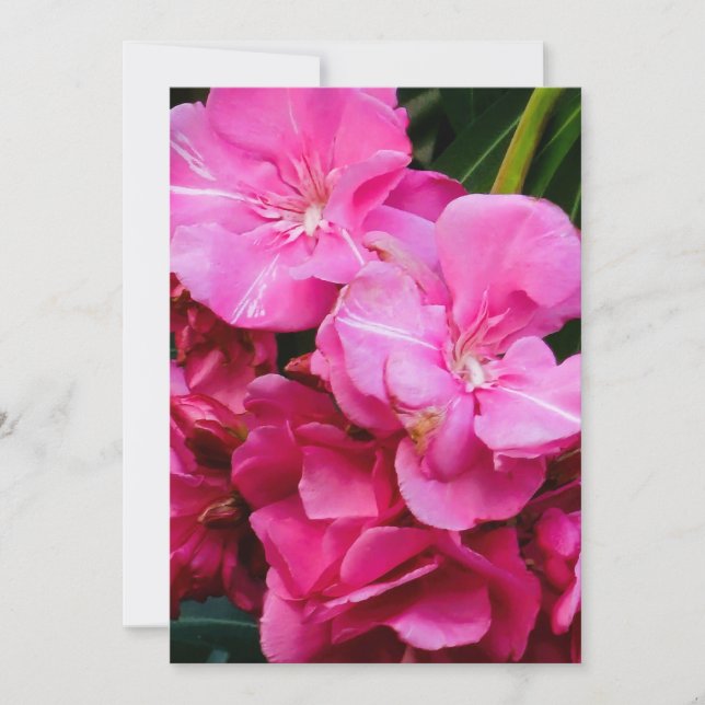 Pink flowers thank you card (Front)