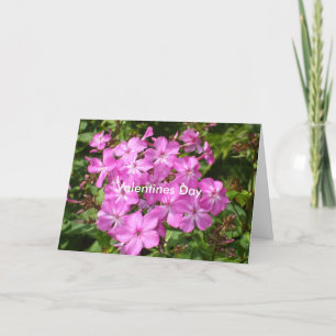 Pink Flowers-Valentines Day Holiday Card