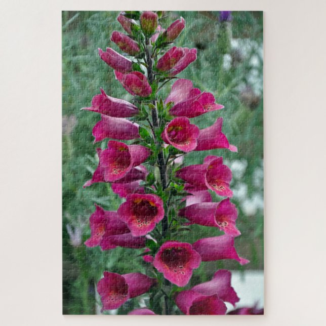 Pink foxglove flowers jigsaw puzzle (Vertical)