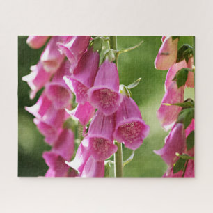 Pink Foxglove Flowers Jigsaw Puzzle