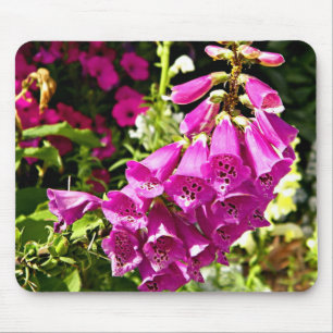 Pink Foxglove flowers Mouse Mat