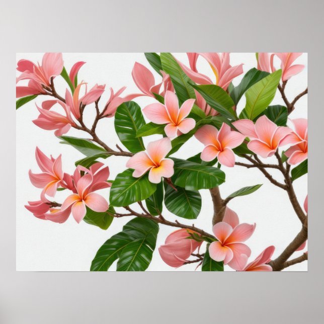 Pink Frangipani Flower Poster (Front)