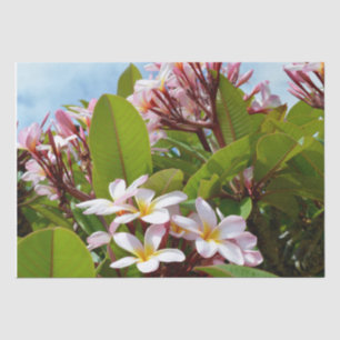 Pink Frangipanis On A Tree,  Tissue Paper