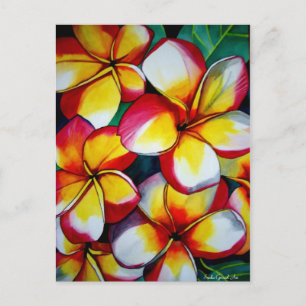 Pink Frangipanis postcard by Sacha Grossel Art