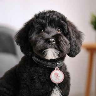Pink French Poodle Pet Tag