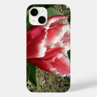 Pink Fringed Tulip