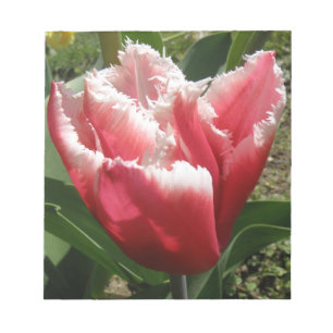 Pink Fringed Tulip Notepad