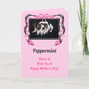 Pink From the Dog Mother's Day Card