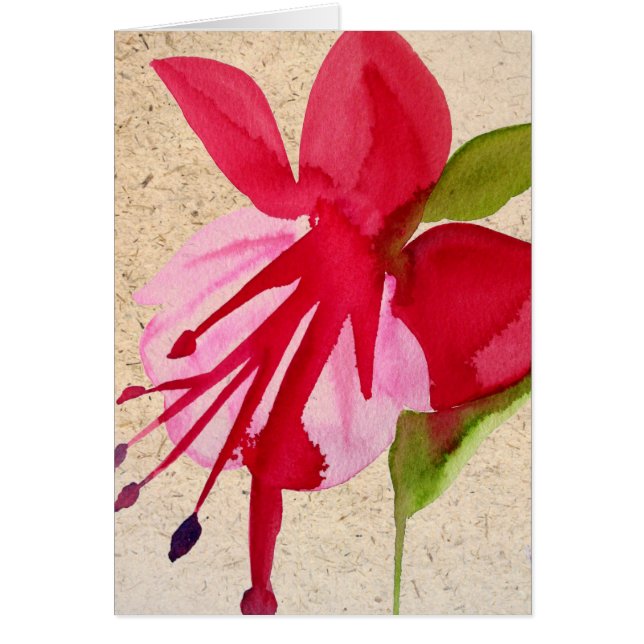 Pink Fuchsia pop art watercolour flower (Front)