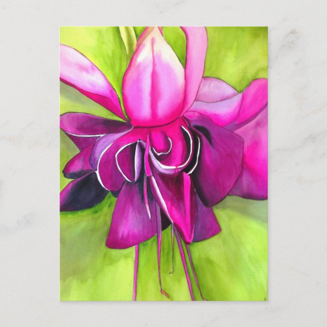 Pink Fuchsia pop art watercolour flower Postcard (Front)