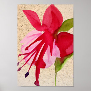 Pink Fuchsia pop art watercolour flower Poster