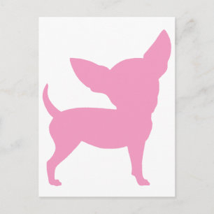 Pink Funny Chihuahua Postcard