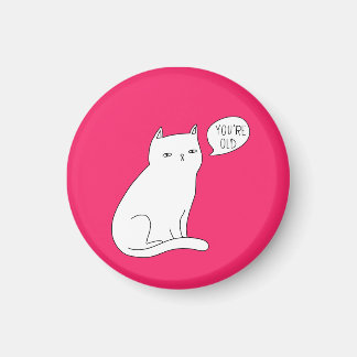 Pink funny silly cat art "you're old" Birthday Magnet