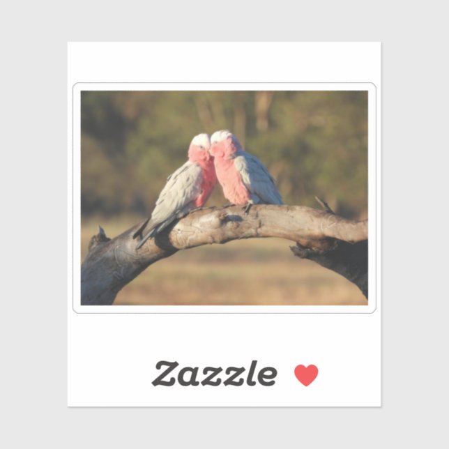 Pink Galahs (Sheet)