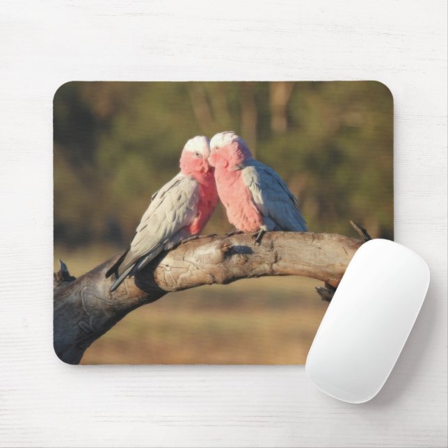 Pink Galahs Mouse Mat (With Mouse)