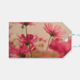Pink Garden Cosmos Flowers Gift Tag Blush Rose