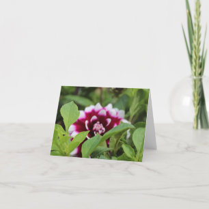 Pink Garden Daliha Mothers Day Holiday Card