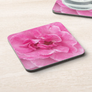 Pink Garden Rose Coaster