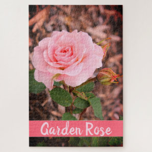Pink Garden Rose Jigsaw Puzzle