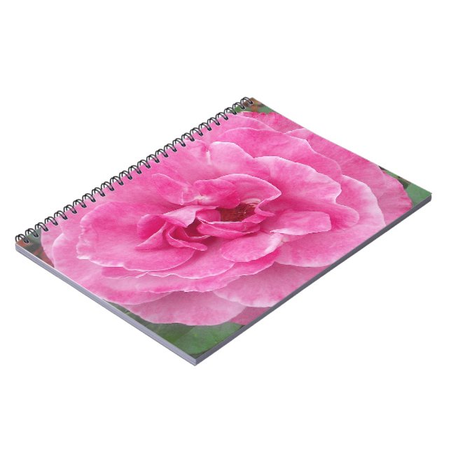 Pink Garden Rose Notebook (Left Side)