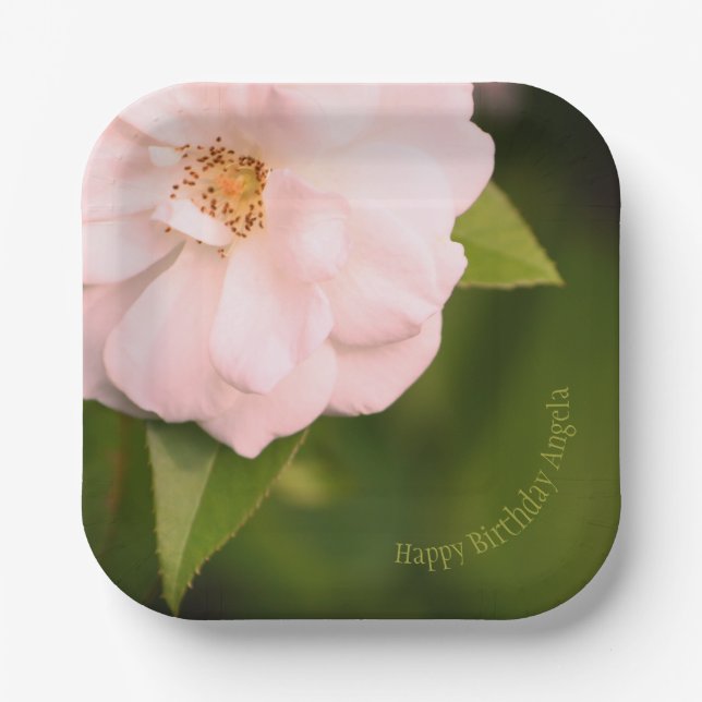 Pink Garden Rose  Square Designer Paper Plates (Front)