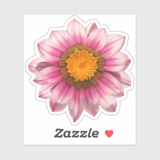 Pink Gazania Treasure Flower Blossom
