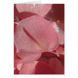 Pink geranium: almost solid Light pink