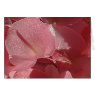 Pink geranium: almost solid Light pink