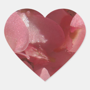 Pink geranium: almost solid Light pink Heart Sticker