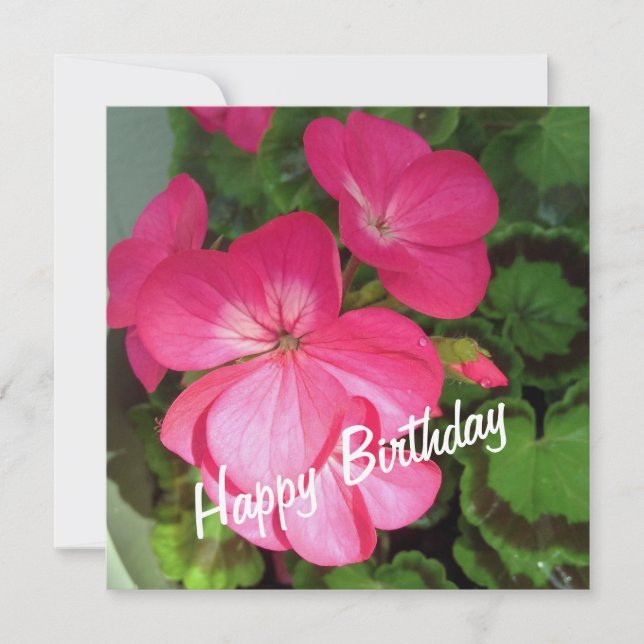 Pink Geranium Birthday Card (Front)