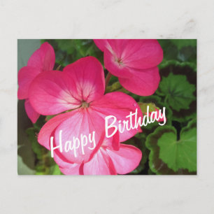 Pink Geranium Birthday Postcard