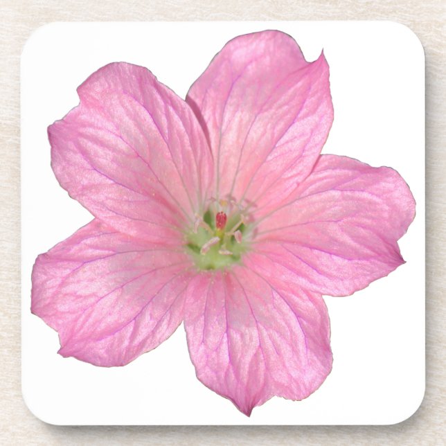 Pink Geranium Coaster (Front)
