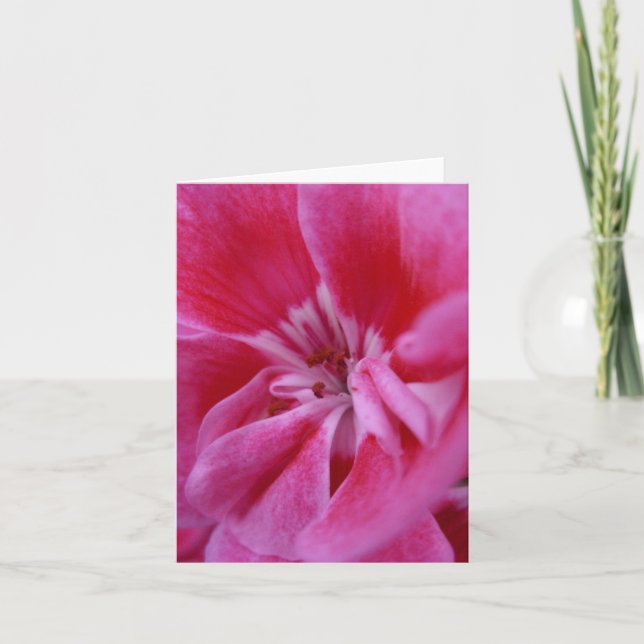 Pink geranium notecard (Front)