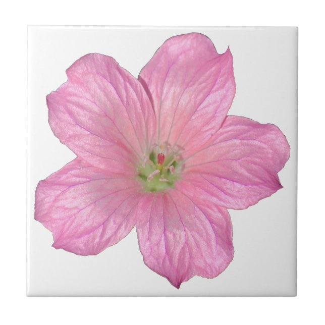 Pink Geranium Tile (Front)