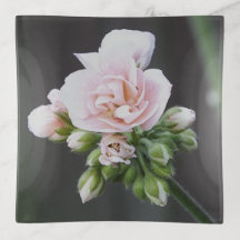 Pink Geraniums Trinket Tray