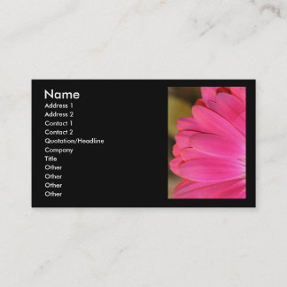 Pink Gerbena Petals on Black Business Card