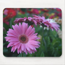 Pink Gerber Daisies colourful mousepad gift idea