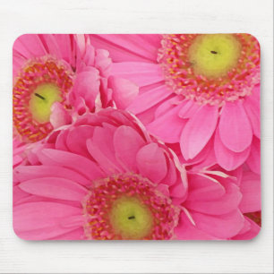 Pink Gerber Daisies Mouse Mat