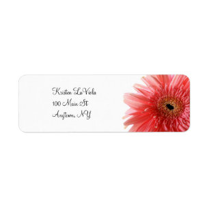 Pink Gerber Daisy Address Label