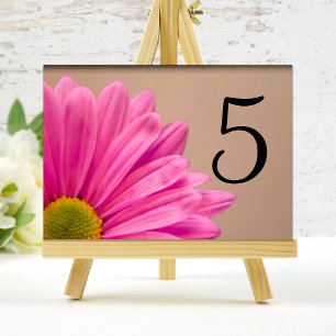 Pink Gerber Daisy Flower Table Numbers