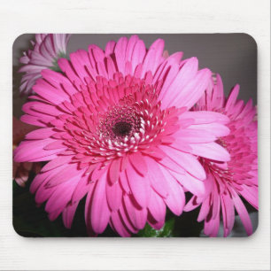 Pink Gerber Daisy Mouse Mat