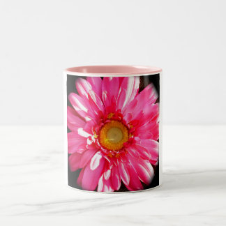 Pink Gerber Daisy Mug